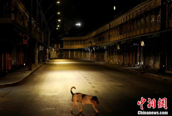 一只狗在无人的街道逡巡